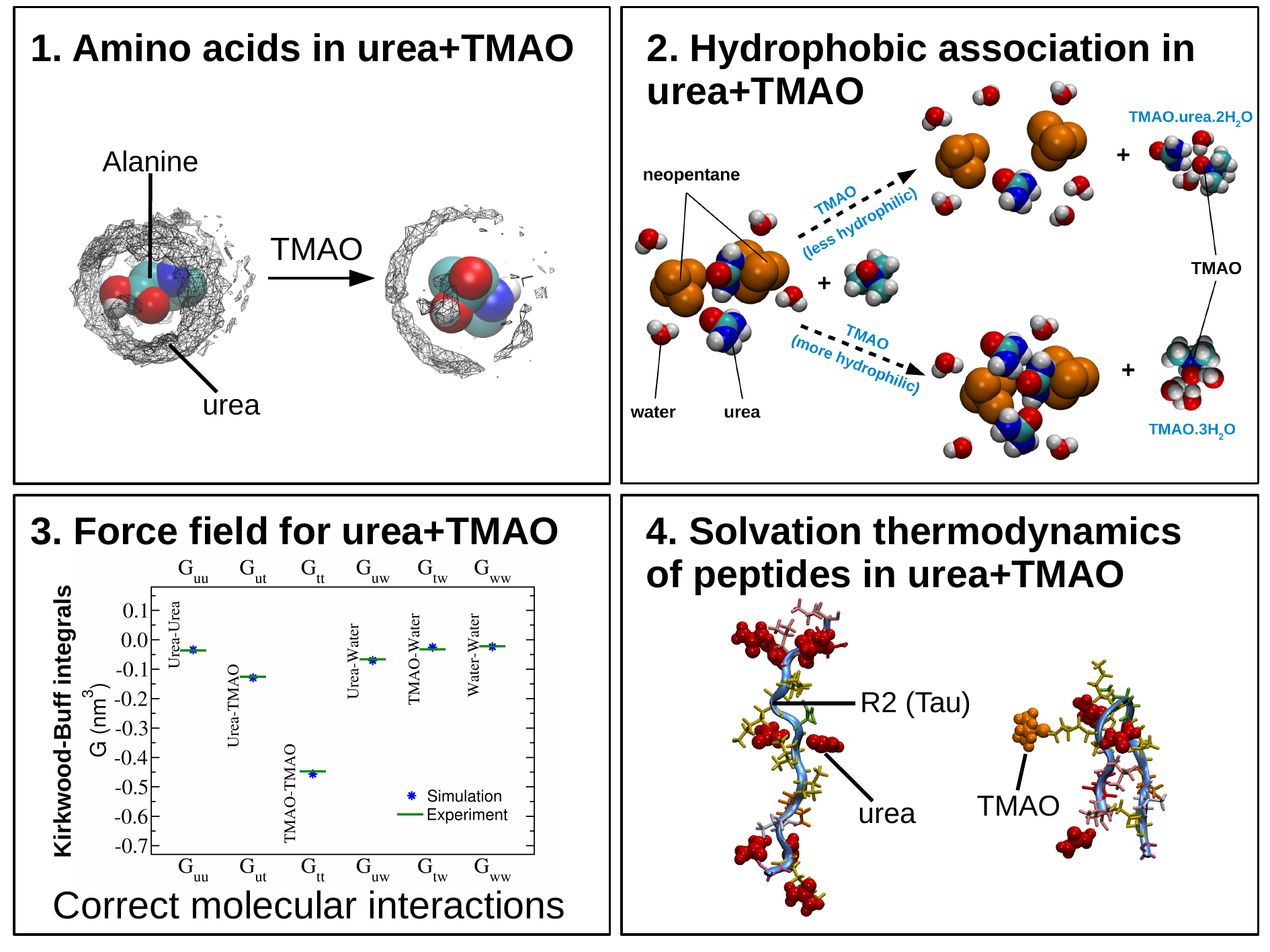 urea-TMAO
