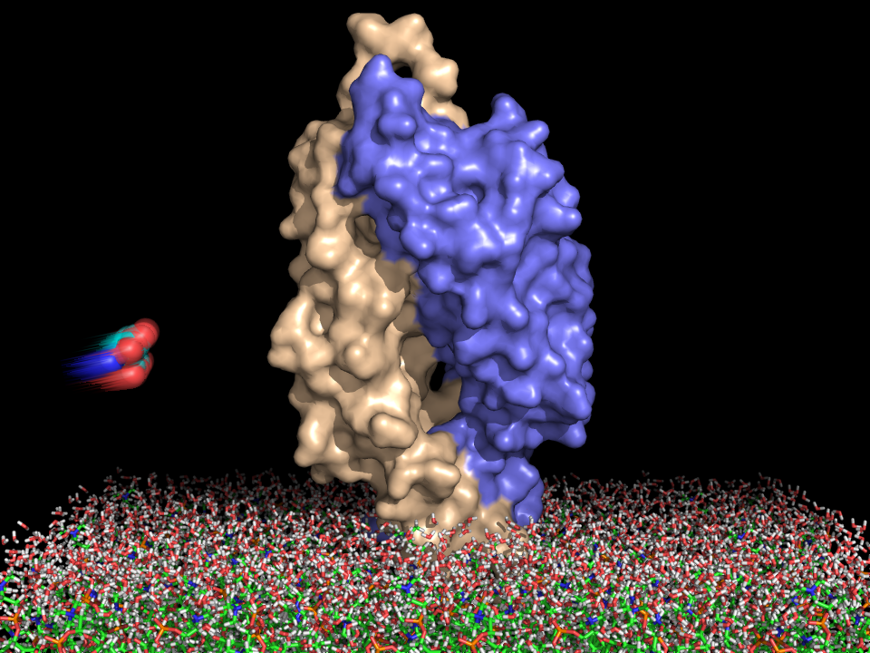 Aspartate receptor in the membrane
