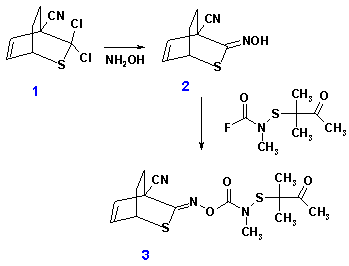 Oximation of gem-dichloride