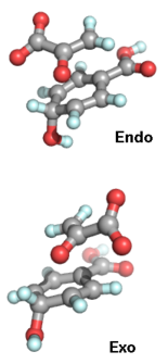 Endo and Exo Configurations